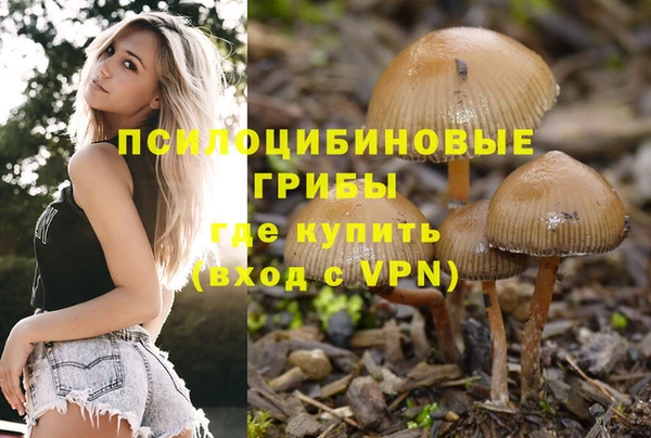 jwh Алзамай