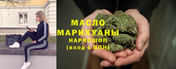 мет Алексин