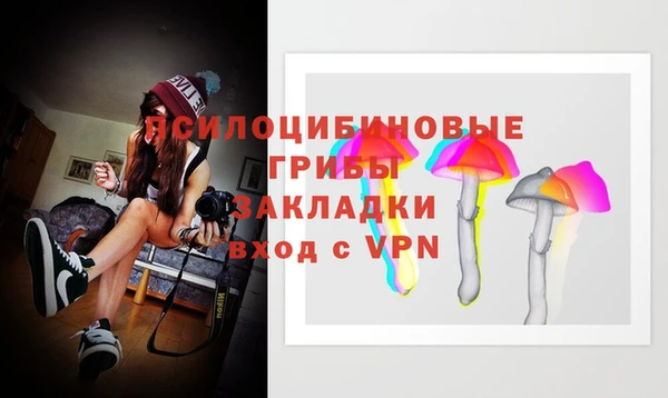 jwh Алзамай