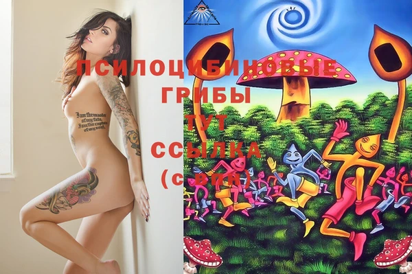 jwh Алзамай