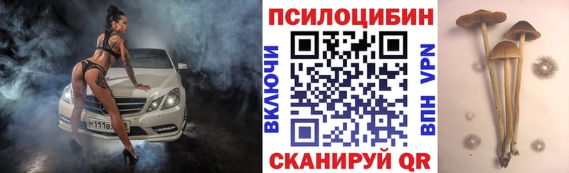 Галлюциногенные грибы ЛСД  Петровск-Забайкальский 